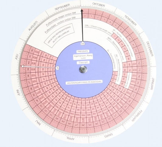 Graviditetssnurra Pregdate Bordsmodell